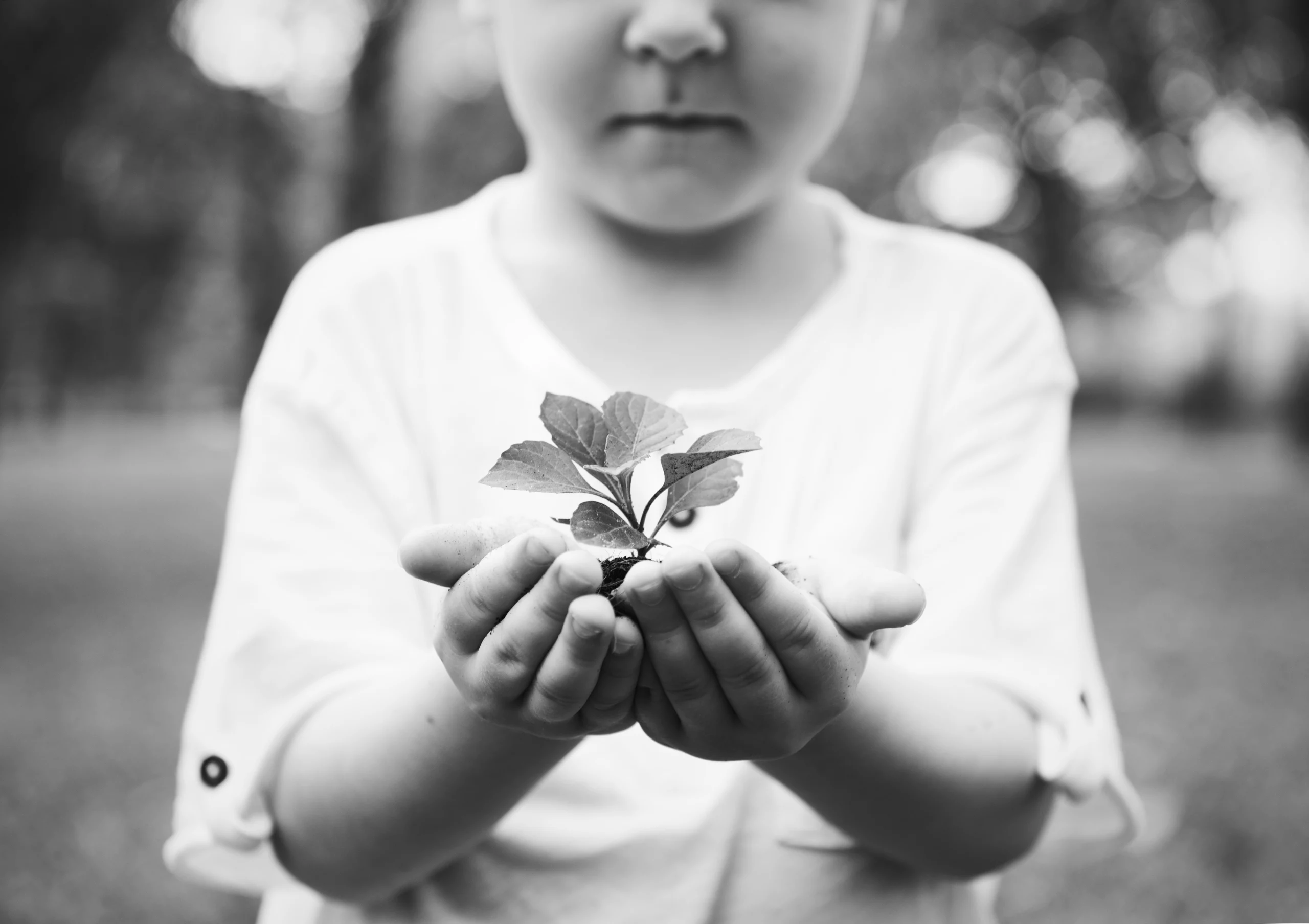 Childhood Trauma, ADHD, and Aggression in Adults: A Complex Connection and Strategies to Cope 1 little boy holding plantwebp scaled