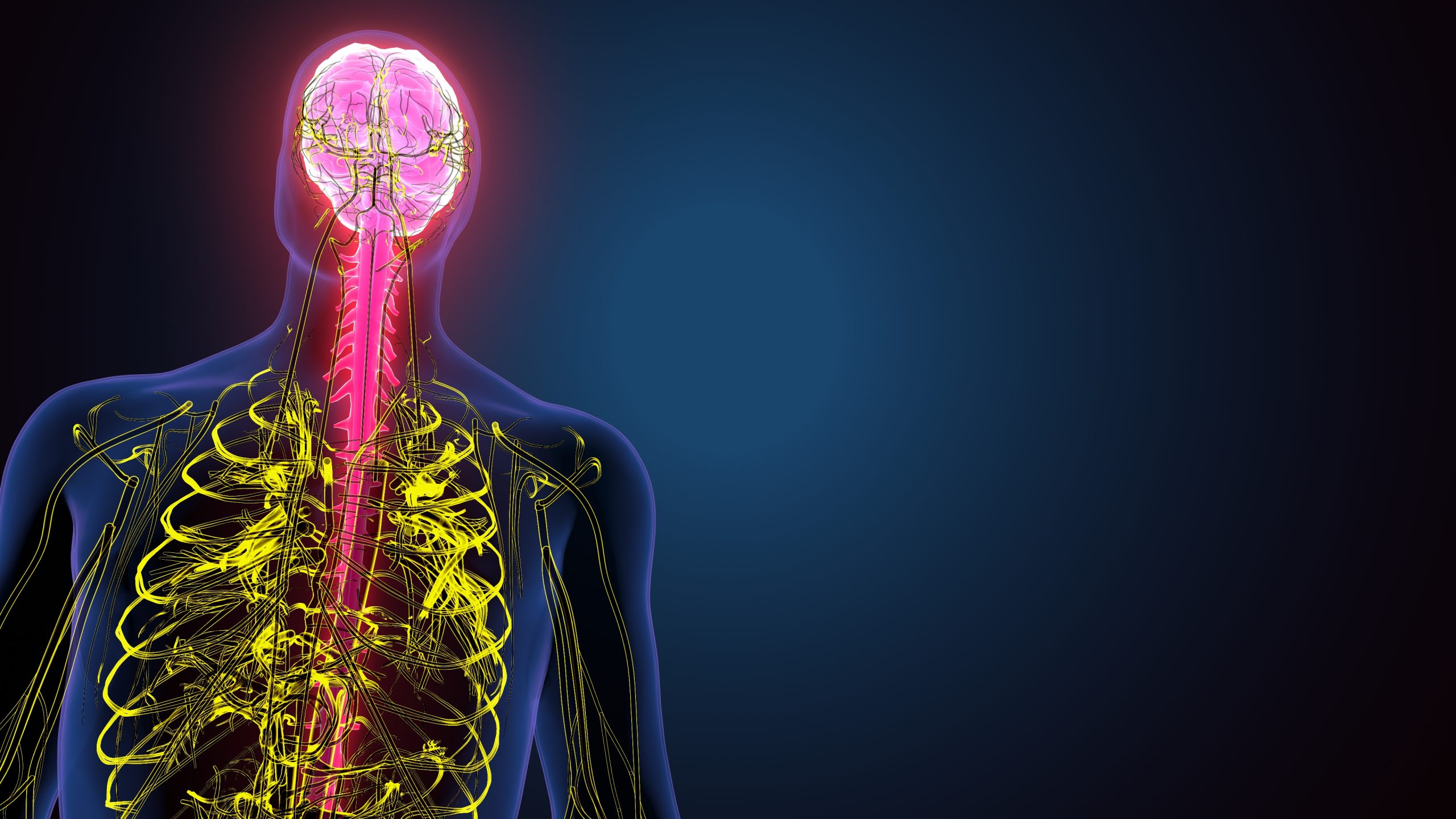 TDAH e o Autismo O Cérebro em Números: O que as Alterações na Espessura Cortical nos Contam TDAH e o Autismo O Cérebro em Números: O que as Alterações na Espessura Cortical nos Contam