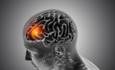 TDAH e o Autismo O Cérebro em Números: O que as Alterações na Espessura Cortical nos Contam 1 Captura de tela 2025 01 27 124433