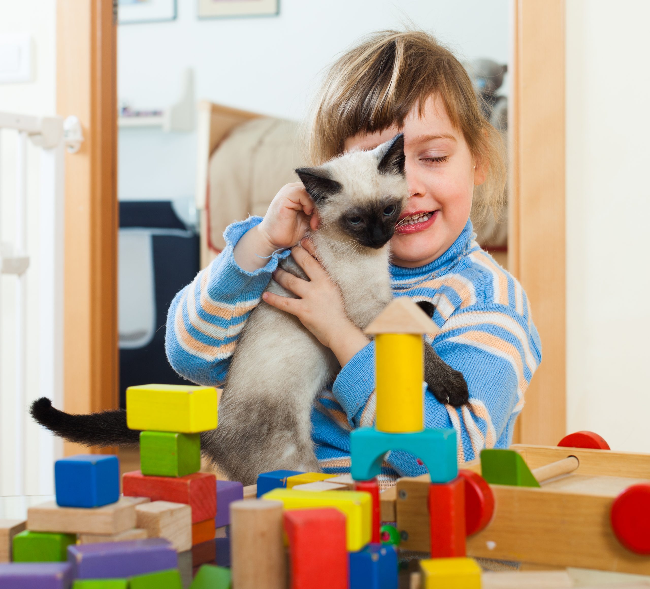 Gatos para Pessoas com TDAH: Companhia, Rotina e Bem-Estar 3 3 years child with kitten scaled