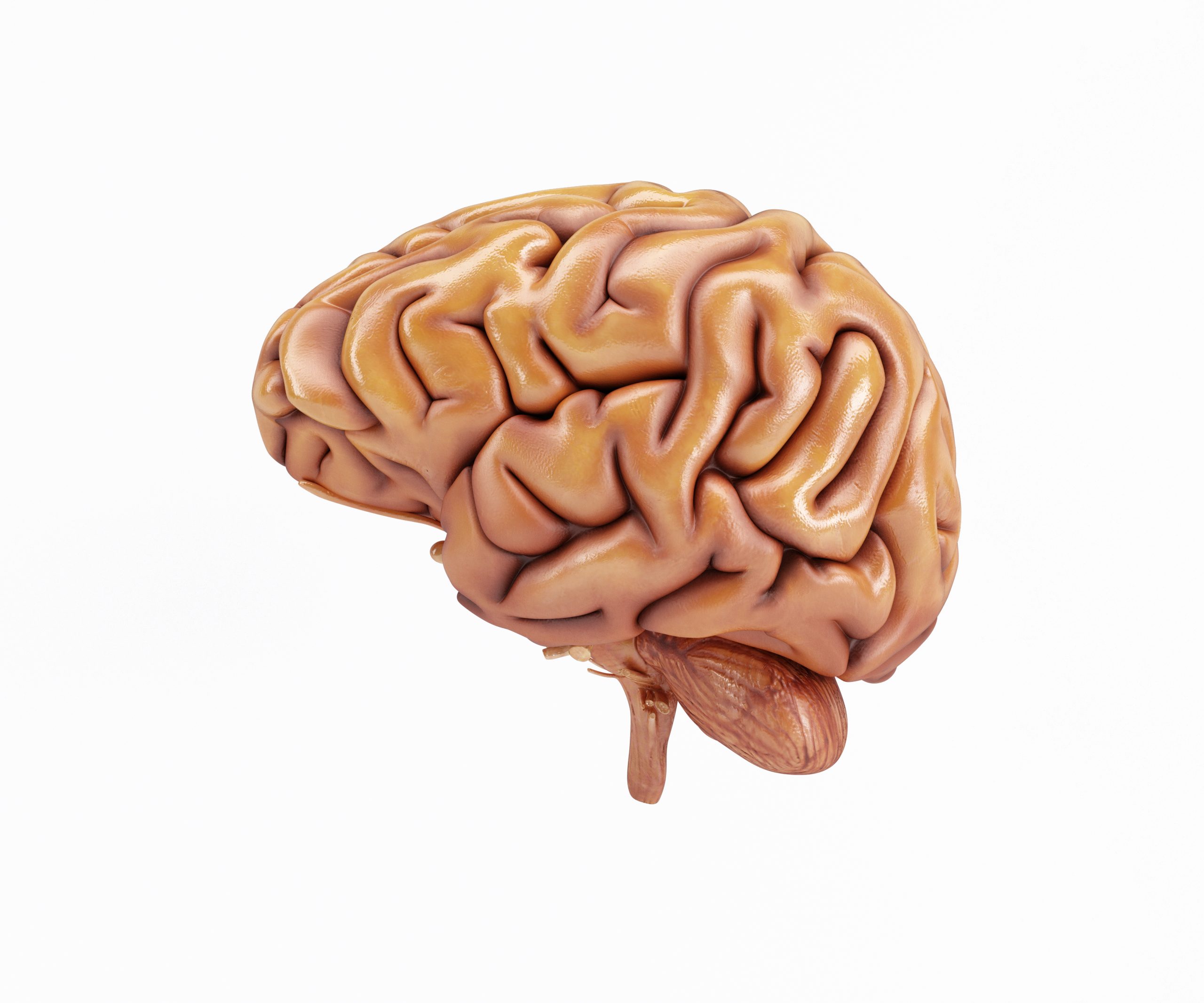 A Influência da Rede de Modo Padrão na Criatividade e na Imaginação 2 brain s side 1 scaled