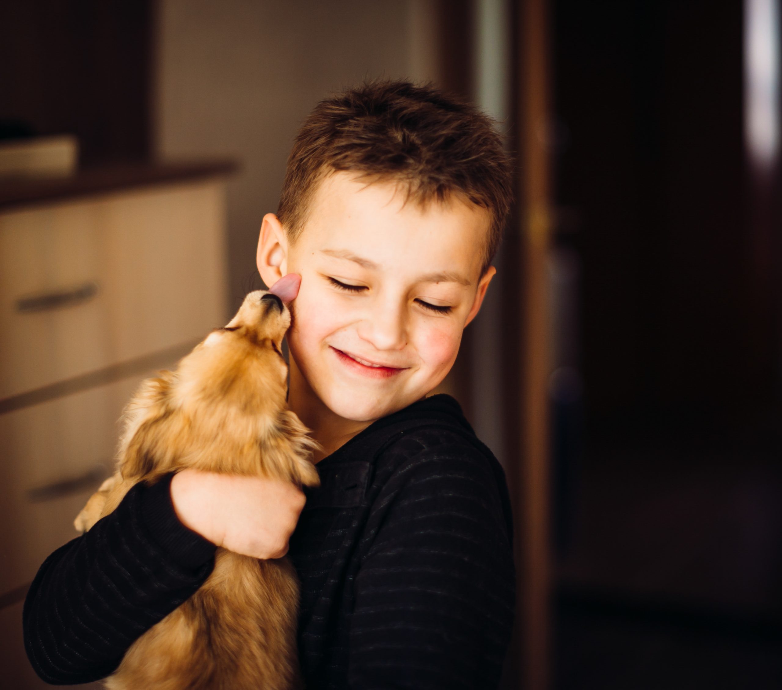 Gatos para Pessoas com TDAH: Companhia, Rotina e Bem-Estar 2 pretty child hugs little dog scaled