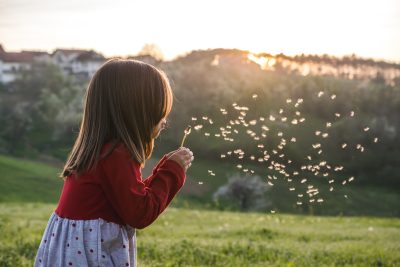view child wearing red blouse blowing dandelion field while sunny day