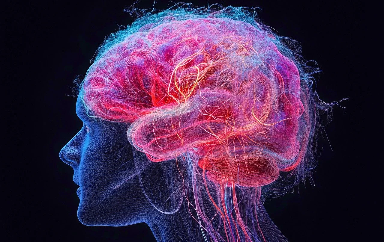 Como a Instabilidade Neural do TDAH Afeta o Controle Cognitivo Como a Instabilidade Neural do TDAH Afeta o Controle Cognitivo