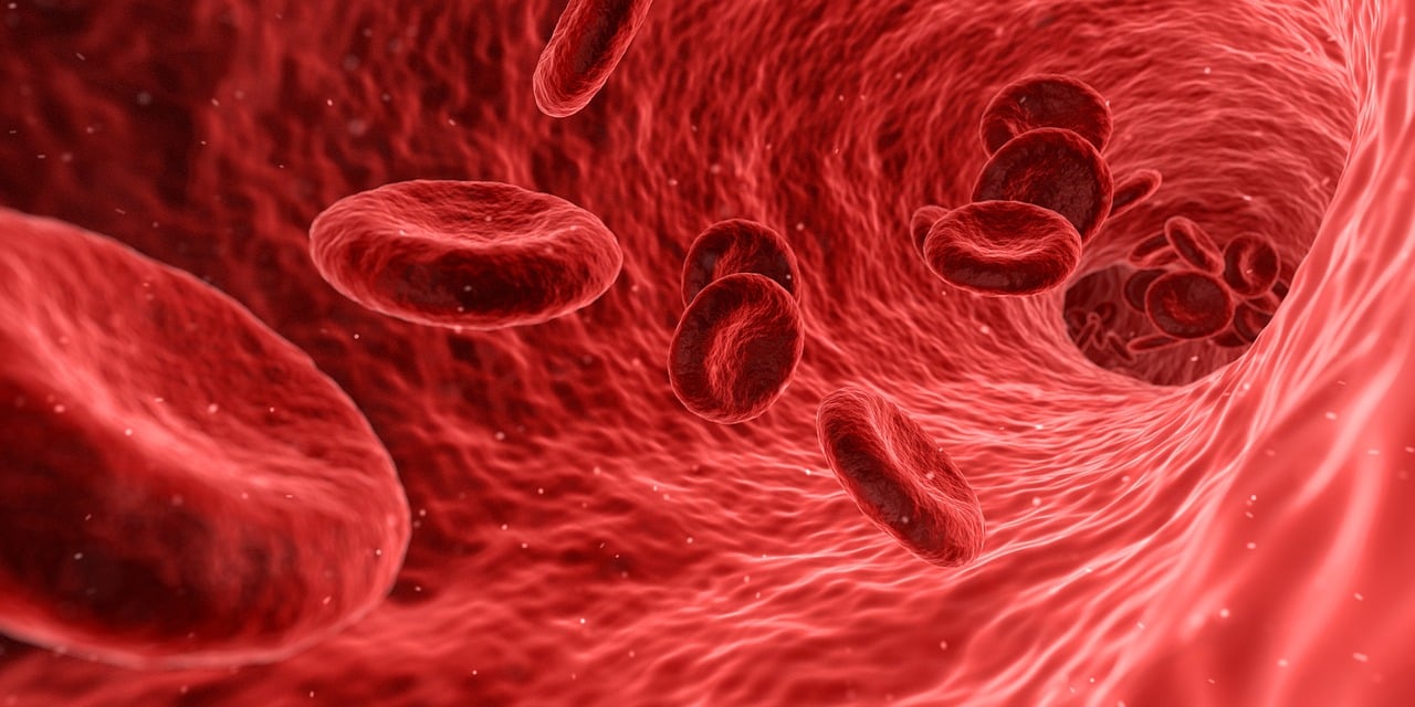 Gráficos ou diagramas que mostrem as principais alterações metabólicas encontradas no cérebro, sangue e urina dos ratos SHR/NCrl, em comparação com os ratos controle.