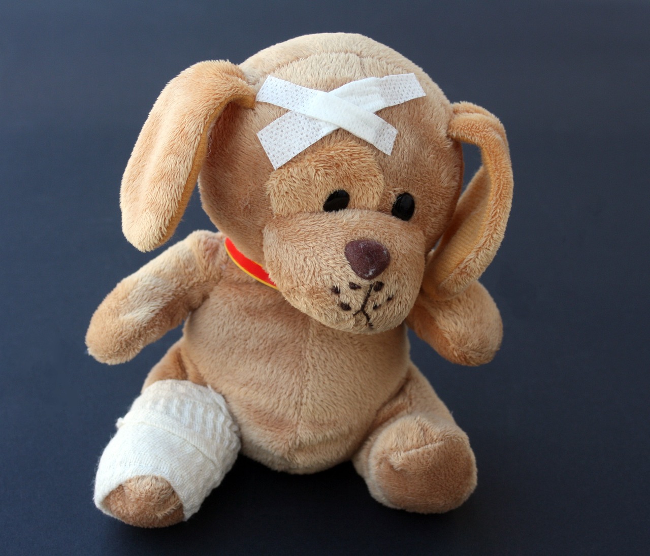 teddy 242851 1280